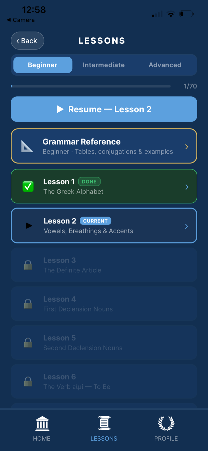 Lessons screen — beginner track with lesson list and progress
